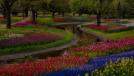 Central Park 3